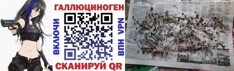 MEGA онион  Заринск  Галлюциногенные грибы Psilocybine cubensis 