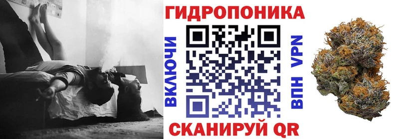 блэк спрут ONION  купить  сайты  Заринск  Бошки Шишки AK-47 